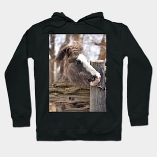 Merrylegs Hoodie